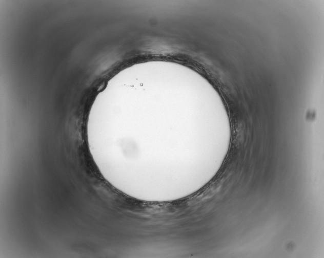 X0000102001205200808151439