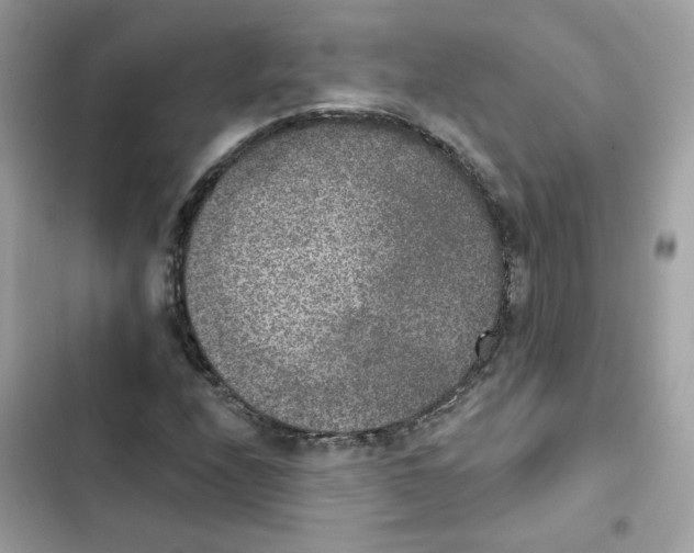 X0000102001208200808151439