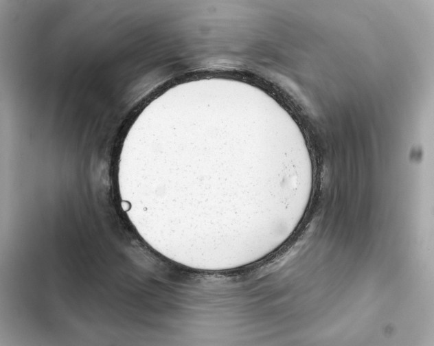 X0000102001209200808151439