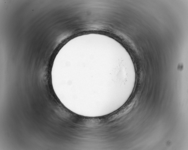 X0000102001210200808151439