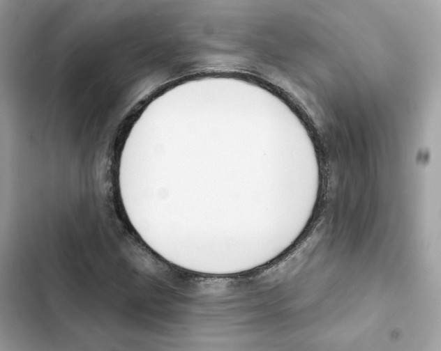 X0000102001211200808151439