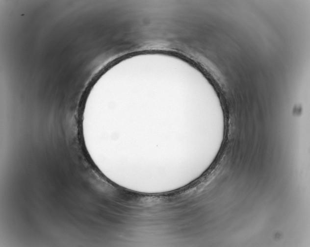 X0000102001212200808151439