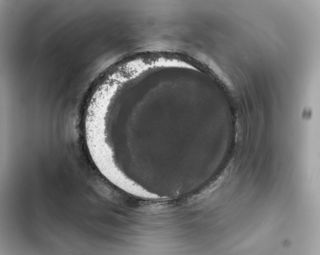 X0000102001213200808151439