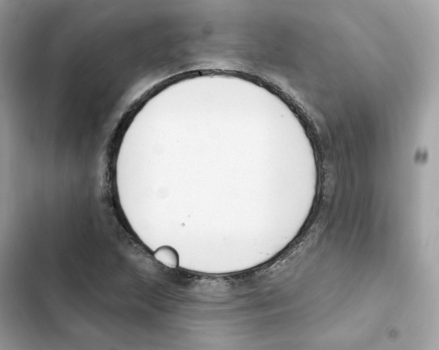 X0000102001215200808151439