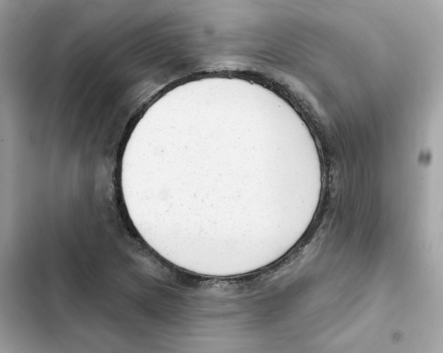 X0000102001217200808151439