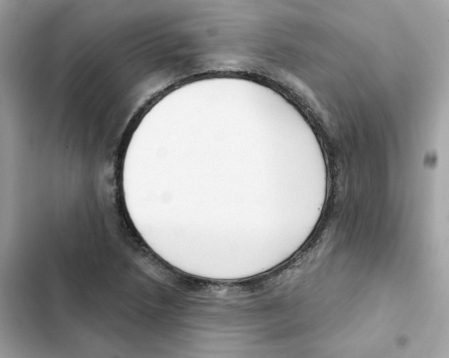 X0000102001218200808151439