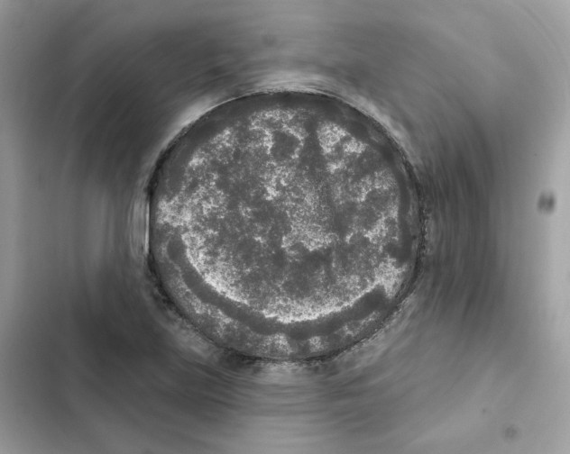 X0000102001219200808151439