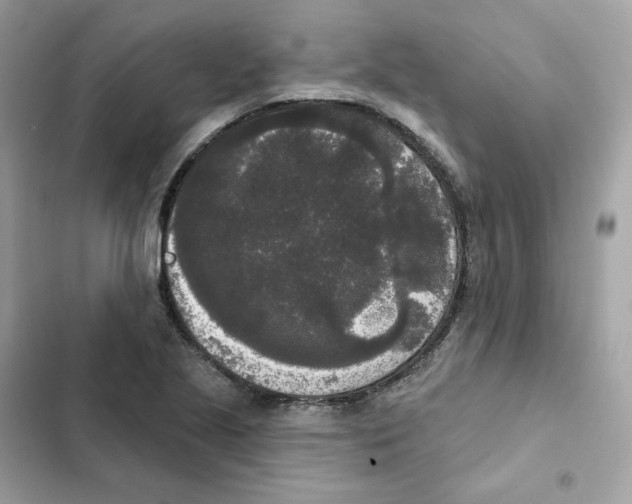 X0000102001221200808151439