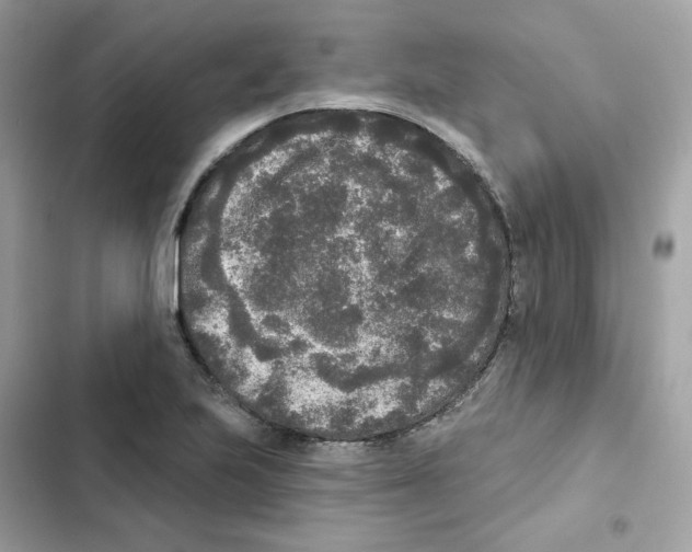 X0000102001223200808151439