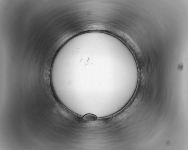 X0000102001225200808151439