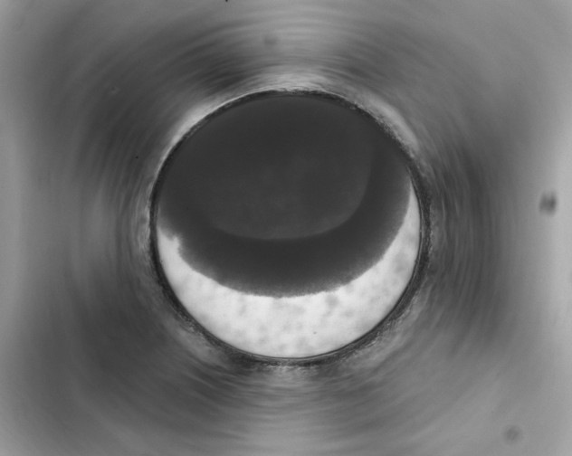 X0000102001226200808151439