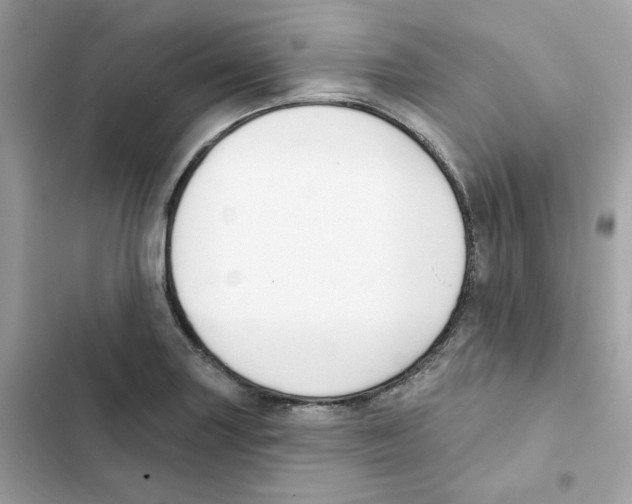 X0000102001227200808151439