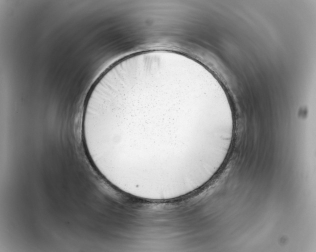 X0000102001228200808151439