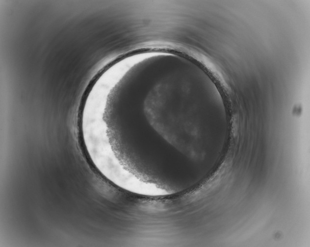 X0000102001229200808151439