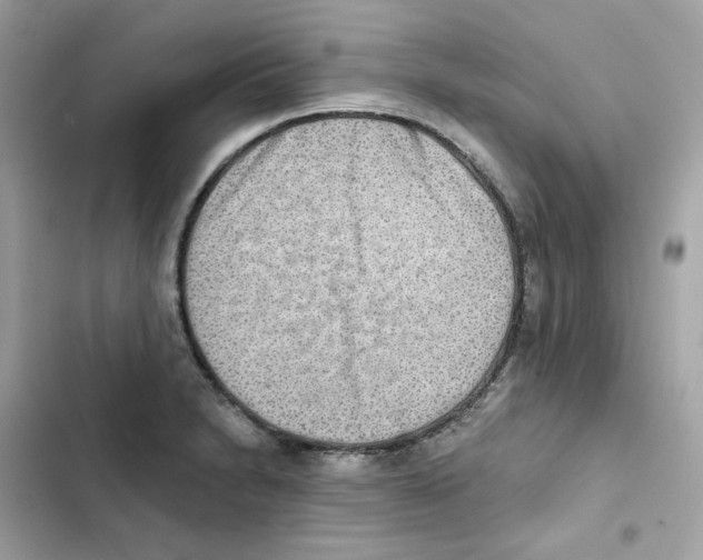 X0000102001230200808151439