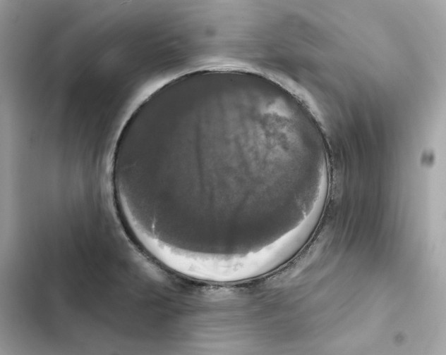 X0000102001231200808151439