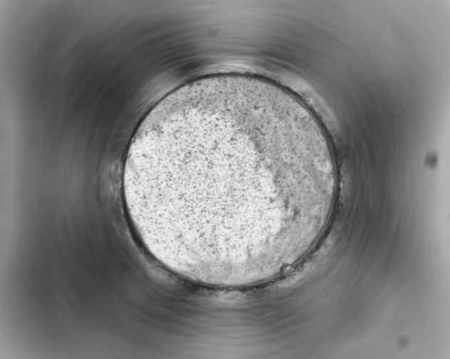 X0000102001233200808151439