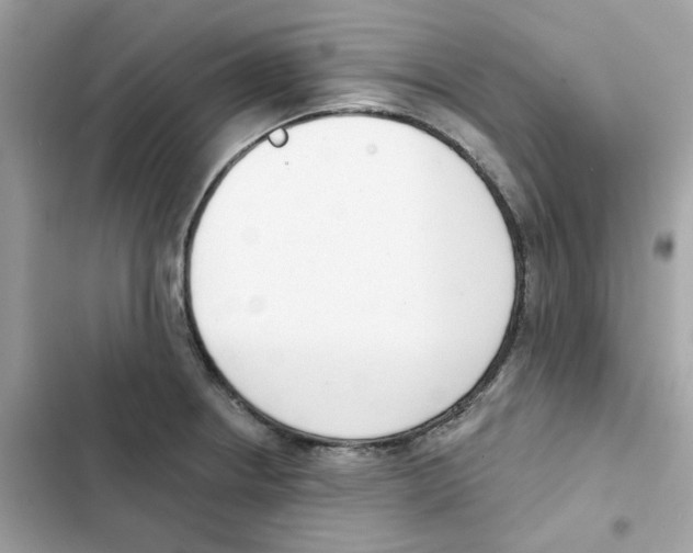 X0000102001234200808151439