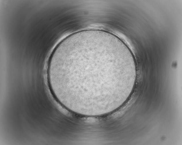 X0000102001235200808151439