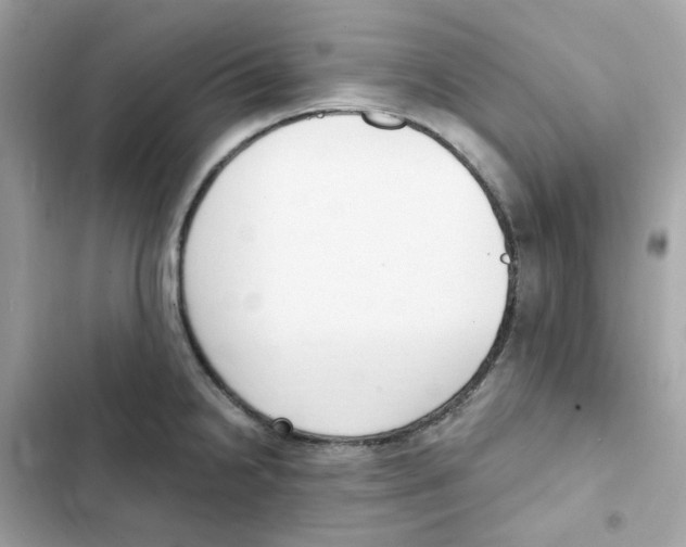 X0000102001238200808151439