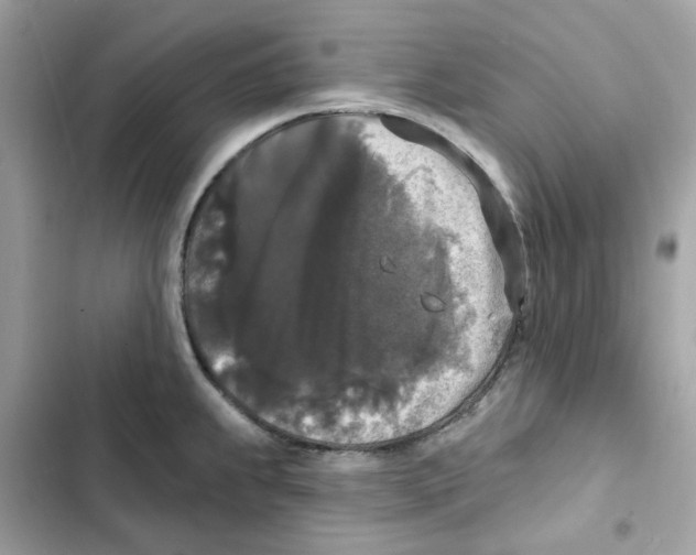 X0000102001239200808151439