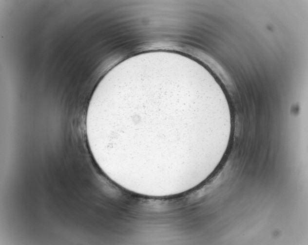 X0000102001241200808151440