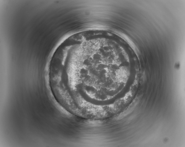 X0000102001243200808151440