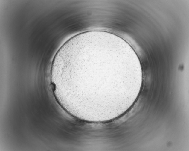 X0000102001244200808151440