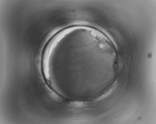 X0000102001245200808151440