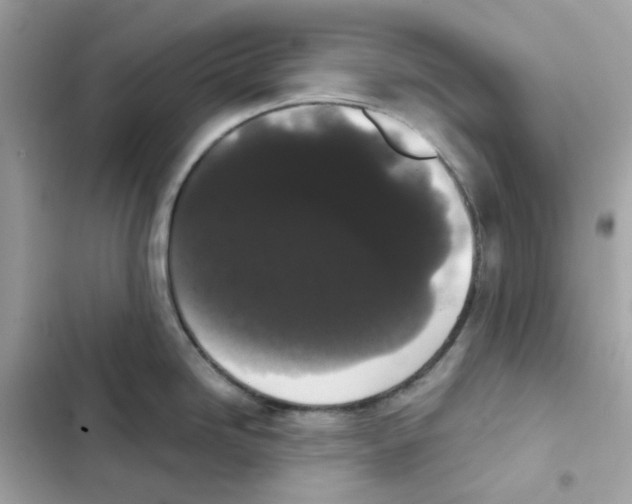 X0000102001246200808151440