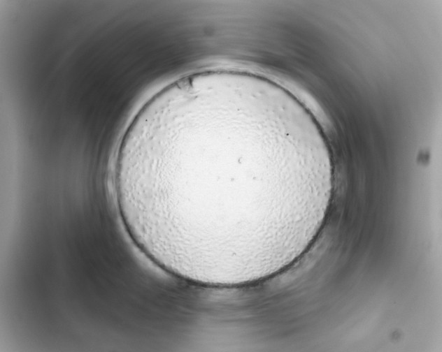 X0000102001247200808151440