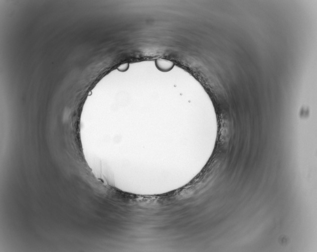 X0000102001249200808151439