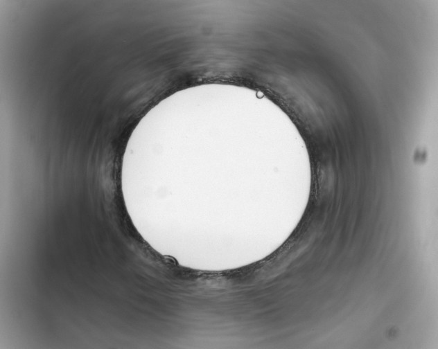 X0000102001250200808151439