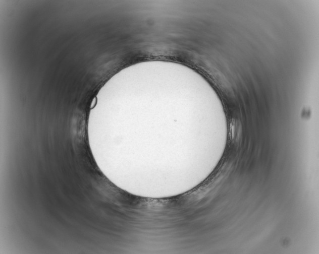 X0000102001251200808151439