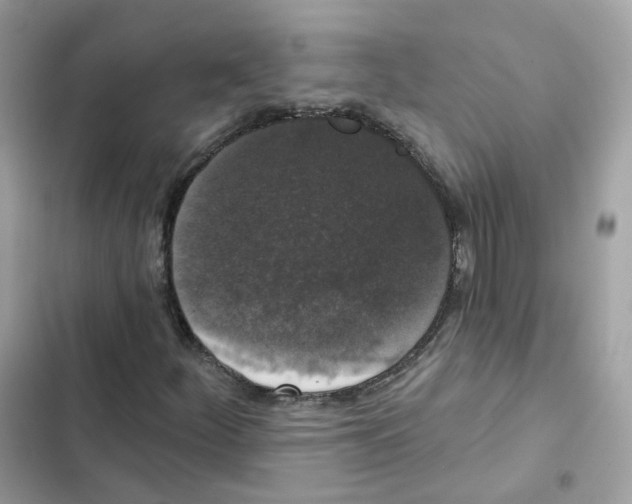 X0000102001252200808151439