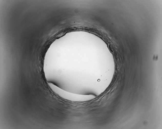 X0000102001253200808151439