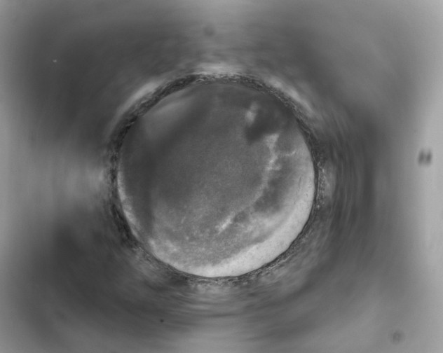 X0000102001254200808151439