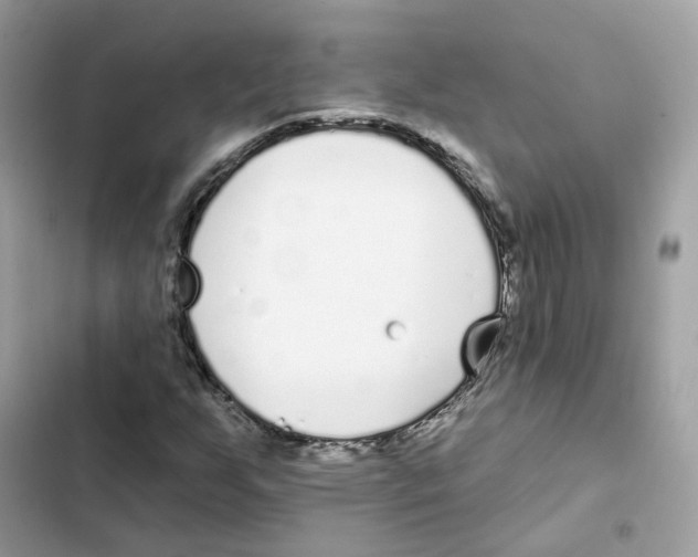 X0000102001255200808151439