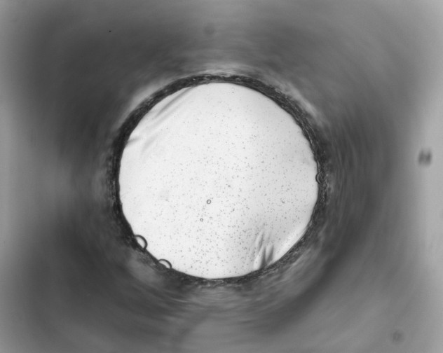 X0000102001256200808151439