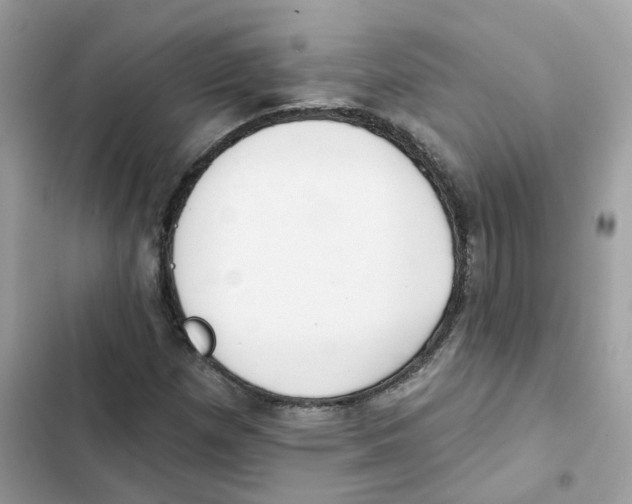 X0000102001257200808151439