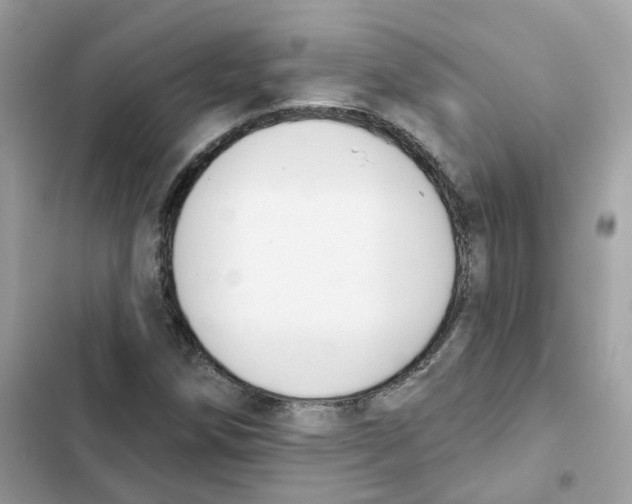 X0000102001258200808151439