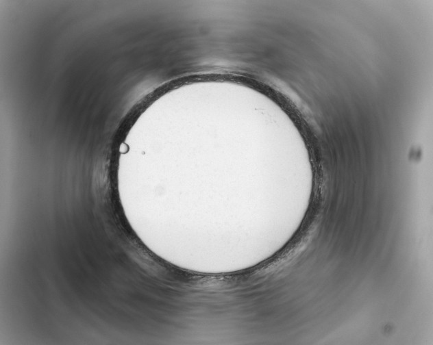 X0000102001259200808151439