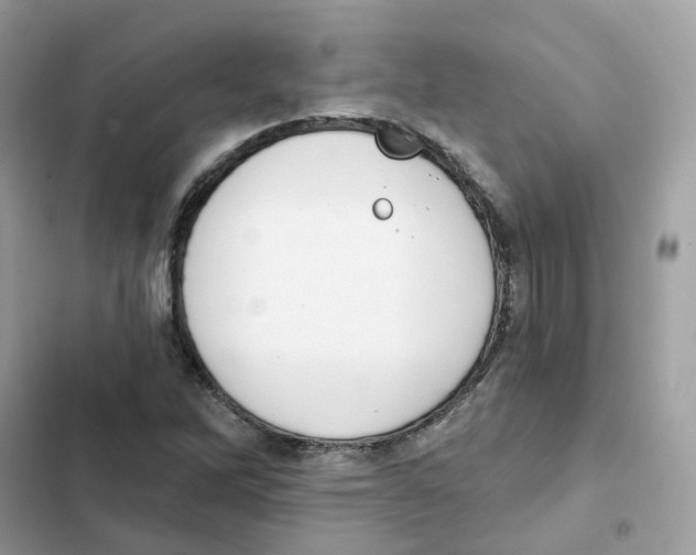 X0000102001262200808151439