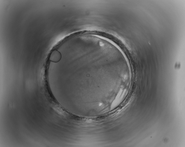 X0000102001263200808151439