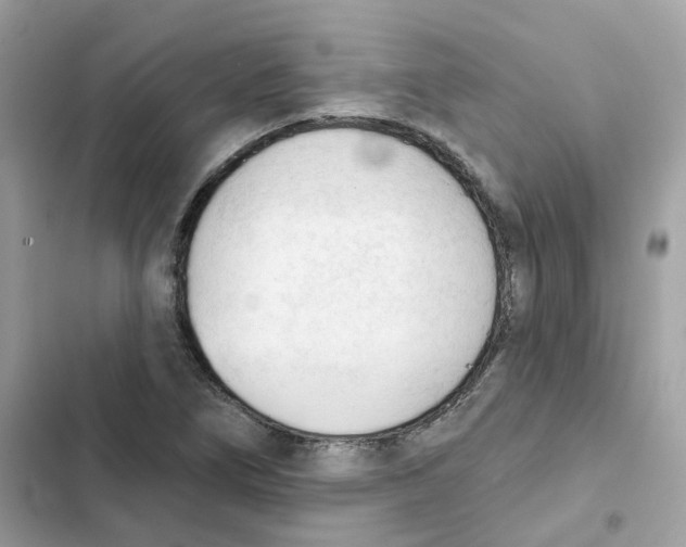 X0000102001266200808151439