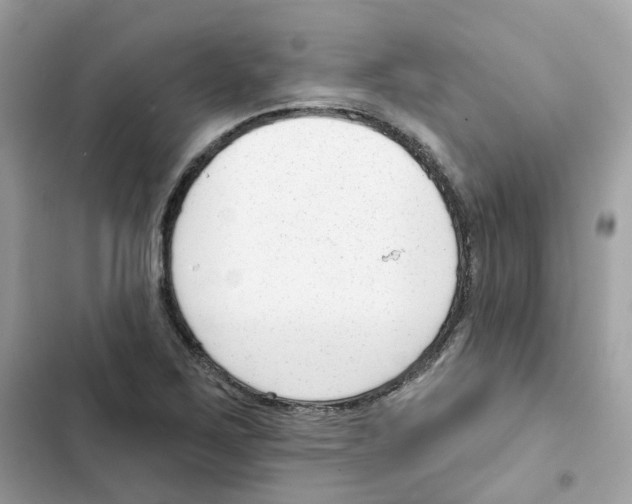 X0000102001267200808151439