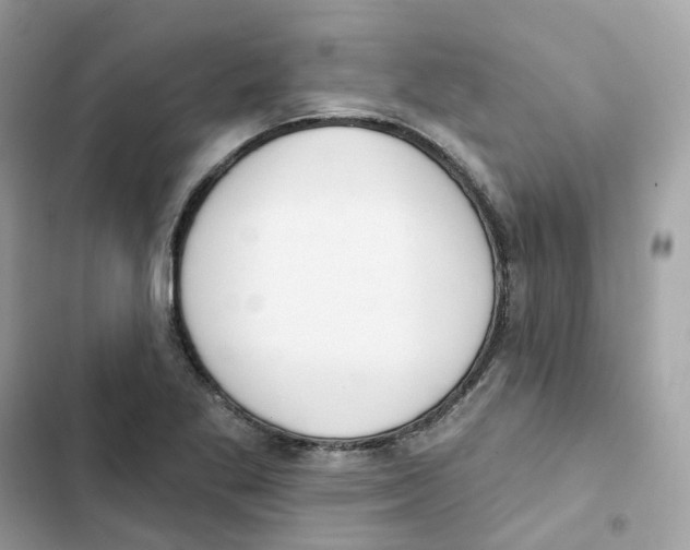 X0000102001269200808151439