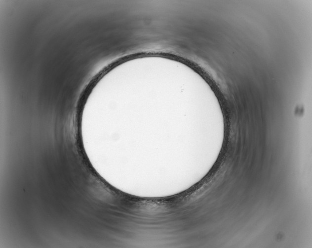 X0000102001270200808151439