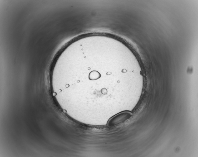 X0000102001271200808151439