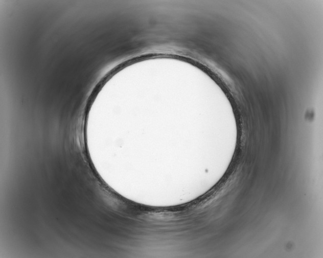 X0000102001272200808151439